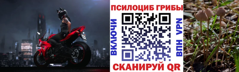 Купить  Демидов  Галлюциногенные грибы ЛСД 